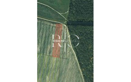 Na predaj pozemky na výstavbu 5516m2 , Prešov - časť Solivar