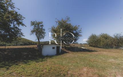 Na predaj krásny dom s pozemkom v obci Želmanovce