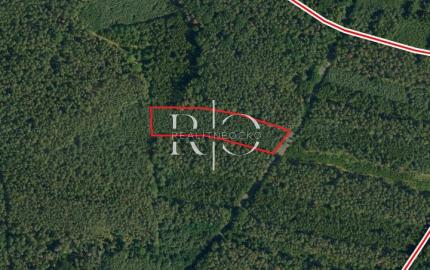 Na predaj lesné pozemky v ČR, obec Litošice, okres Pardubice