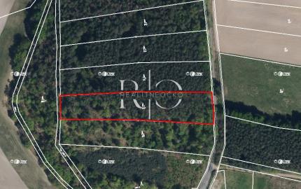 Na predaj lesné pozemky v ČR, obec Litošice, okres Pardubice