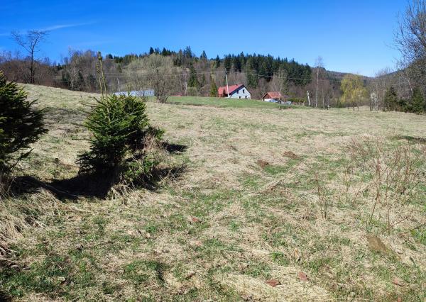 Na predaj dva investičné pozemky v obci Oščadnica, Čadca