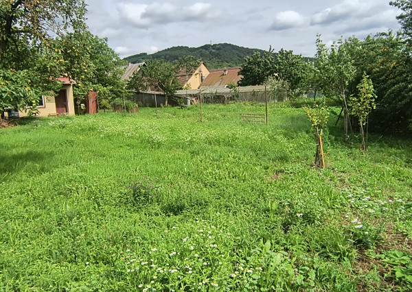 Stavba + pozemky na predaj v obci Košeca, okr. Ilava