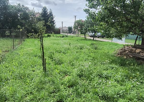 Stavba + pozemky na predaj v obci Košeca, okr. Ilava