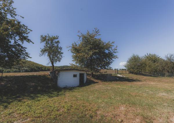 Na predaj krásny dom s pozemkom v obci Želmanovce