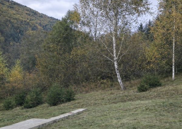 Na Predaj Drevodom  Bacuch, okr.Brezno