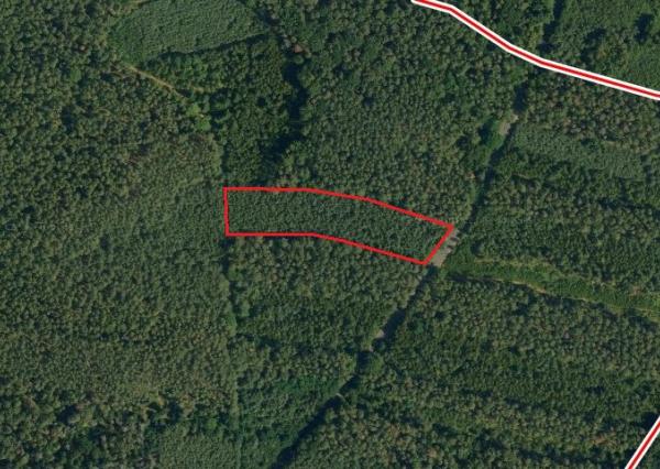 Na predaj lesné pozemky v ČR, obec Litošice, okres Pardubice