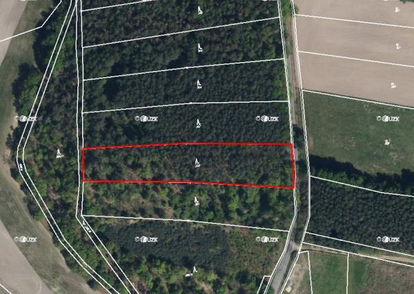 Na predaj lesné pozemky v ČR, obec Litošice, okres Pardubice