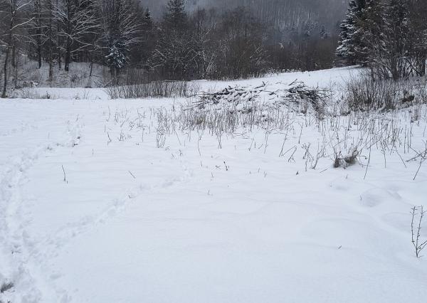 Na predaj stavebný pozemok v obci Povina, Kysucké Nové Mesto