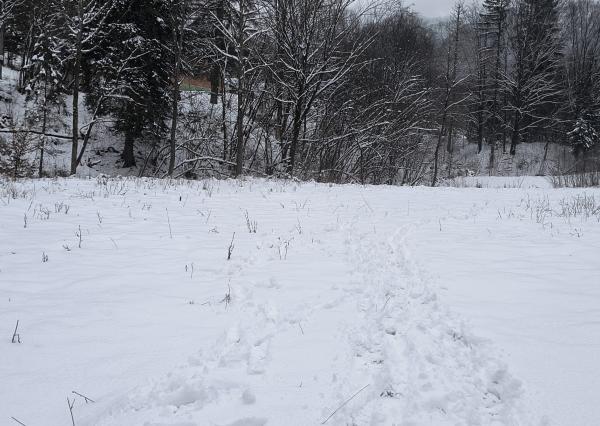 Na predaj stavebný pozemok v obci Povina, Kysucké Nové Mesto