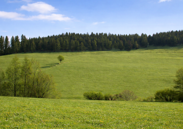 Na predaj  rekreačný pozemok , Čierny Balog - Urbanov