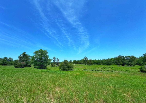 Na predaj slnečný stavebný pozemok - Červená Voda