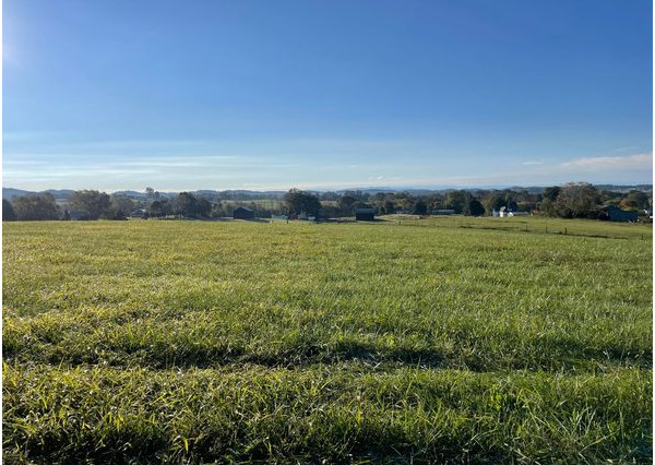 Na predaj invesičný pozemok v obci Čelovce