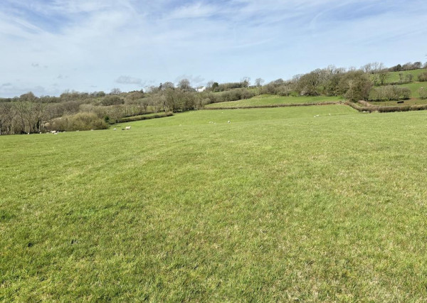 Na predaj stavebný pozemok v obci Čelovce