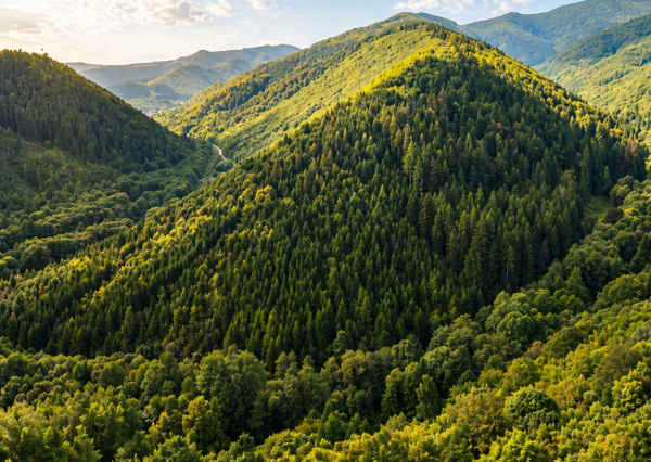 Rekreačná chata - Hronec, Osrblie