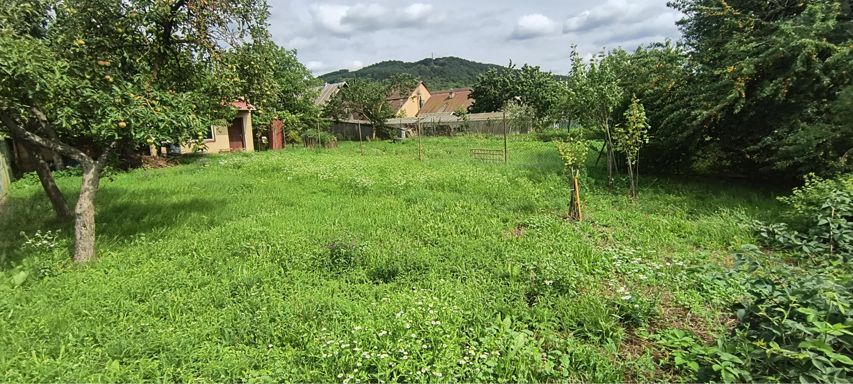 Stavba + pozemky na predaj v obci Košeca, okr. Ilava