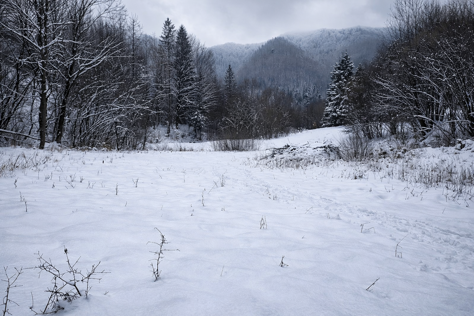 Na predaj stavebný pozemok v obci Povina, Kysucké Nové Mesto
