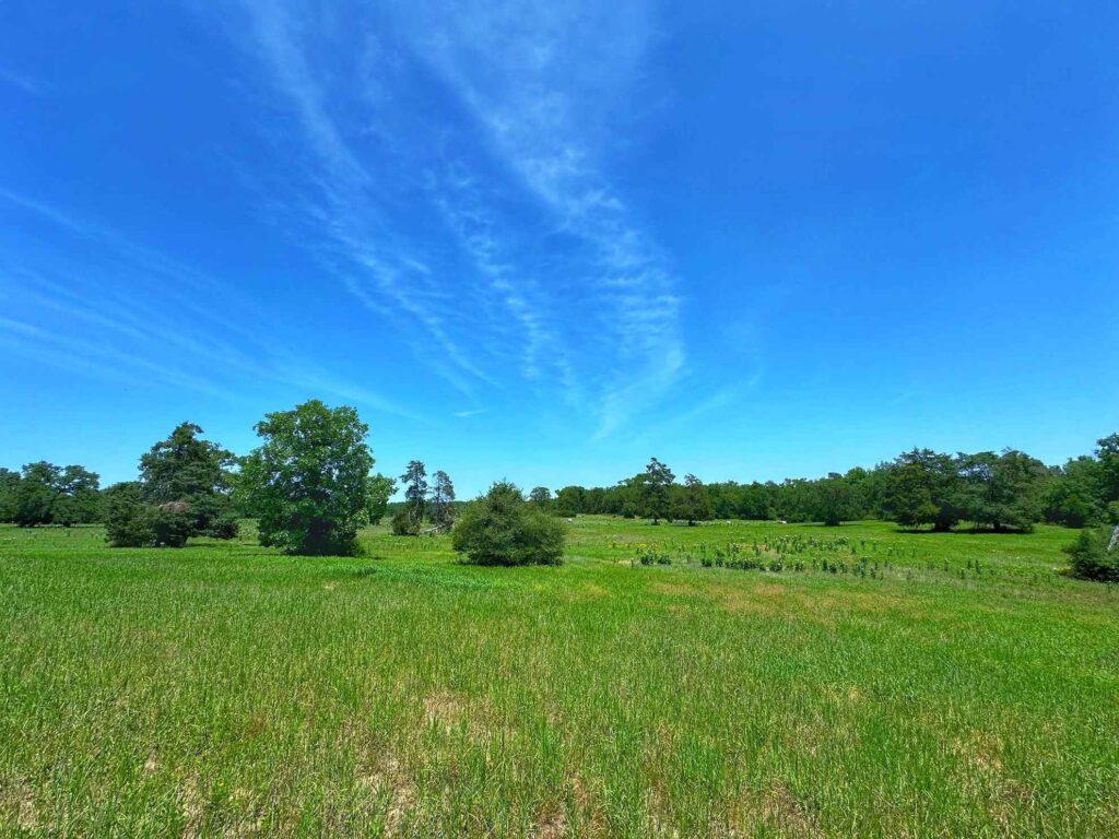 Na predaj slnečný stavebný pozemok - Červená Voda